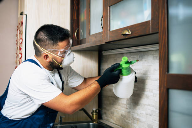 Best Best Pest Control Companies  in Whiting, WI