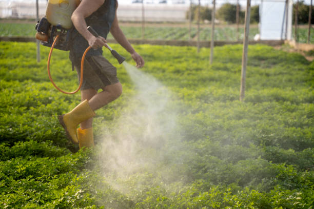 Best Best Pest Control Companies  in Whiting, WI
